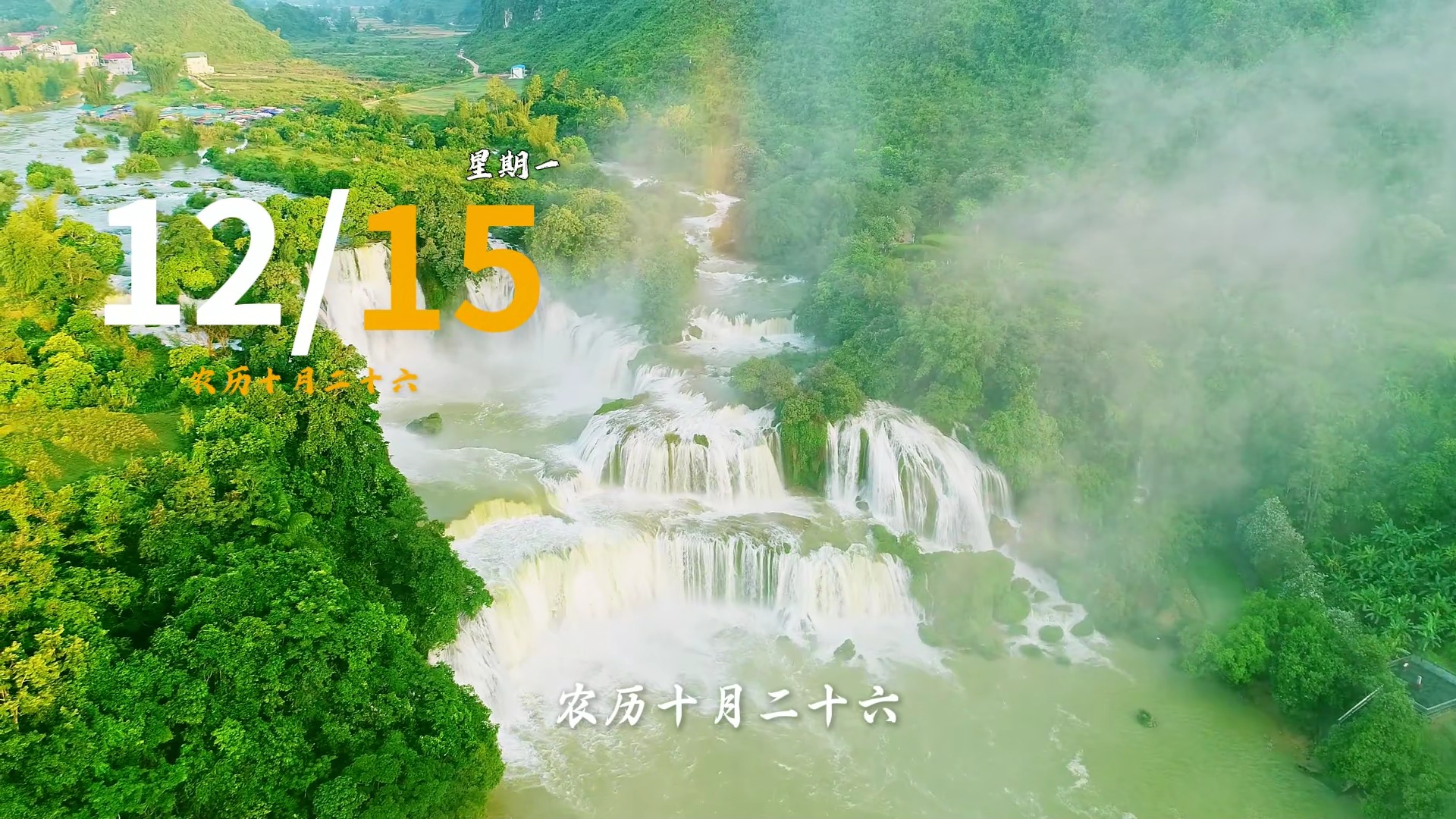 12月15日 周一 强化免疫护安康