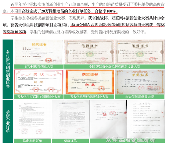 内容图片